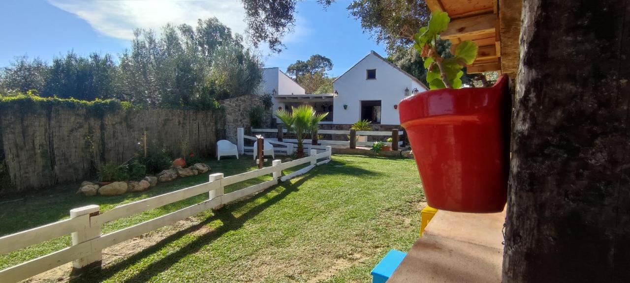 La Casa De Rodrigo Y Manuela Villa Tarifa Bagian luar foto